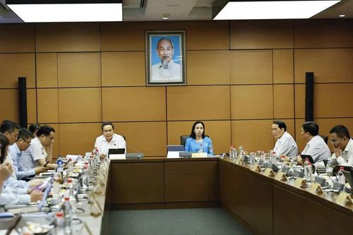 Sửa Luật Đấu thầu: Không chỉ gỡ thủ tục, phải kiểm soát quyền và nâng chất lượng