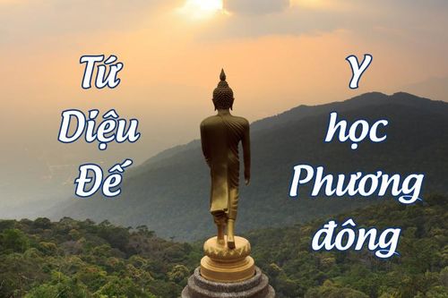 Tứ Diệu Đế và y học Phương đông: Góc nhìn chỉnh thể giữa phật học và y đạo