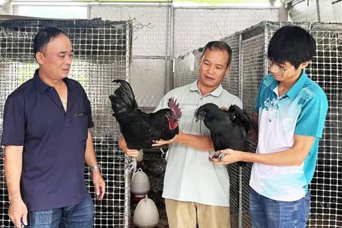 Đẩy mạnh ứng dụng khoa học, công nghệ trong sản xuất nông nghiệp