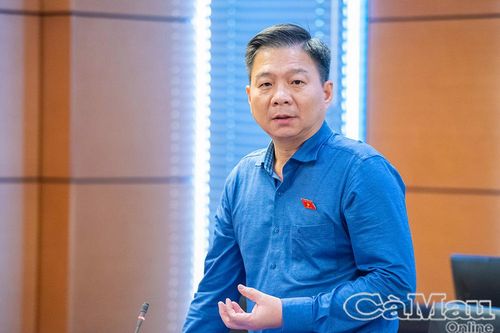 Đại biểu Quốc hội đề xuất giải pháp hoàn thiện chính sách thuế, nâng cao hiệu quả đấu thầu
