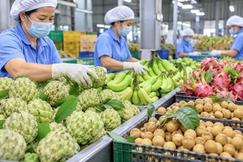 58 thông báo SPS liên quan đến an toàn thực phẩm và kiểm dịch