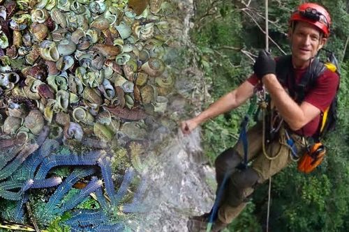 Có gì trong hố sụt khổng lồ mới phát hiện ở Phong Nha?