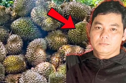 Cháu ruột phun thuốc diệt cỏ phá vườn sầu riêng của chú vì mâu thuẫn
