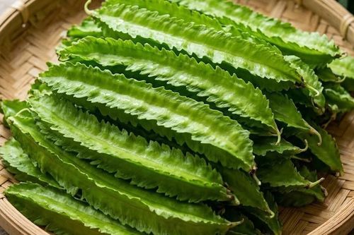 Lợi ích sức khỏe của đậu rồng