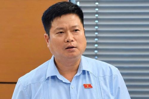 ĐBQH ủng hộ đánh thuế 0,2% đất bỏ hoang, tránh đầu cơ, găm giữ