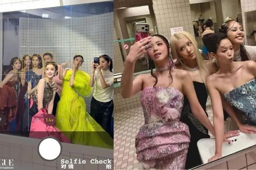 Thịnh Điển VOGUE 2026: Loạt ảnh selfie 'bắt chước' Met Gala của dàn sao bị chê