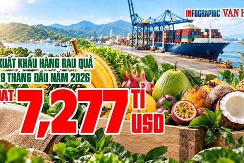 Xuất khẩu rau quả giảm 17,8%, Trung Quốc chiếm gần 65%