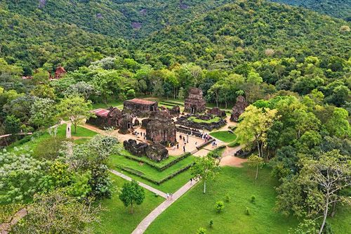 Mỹ Sơn và WWF mở hướng bảo tồn di sản từ phục hồi rừng