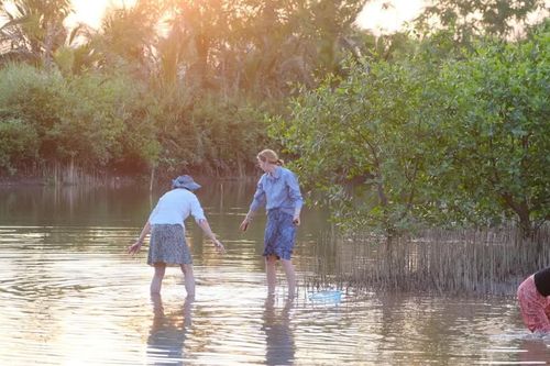 Đánh thức miền Ramsar
