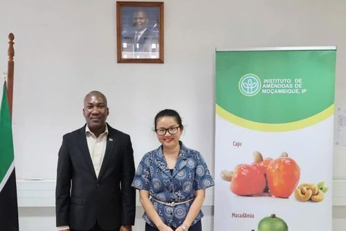 Việt Nam-Mozambique thúc đẩy hợp tác trong sản xuất và chế biến nông sản