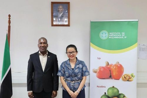 Đại sứ Việt Nam tại Mozambique làm việc với Viện trưởng Viện Điều thúc đẩy hợp tác về một số mặt hàng nông sản tiềm năng