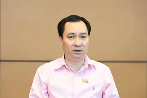 Đại biểu Quốc hội: Chuyển quản lý giống cây trồng, không để doanh nghiệp thêm thủ tục