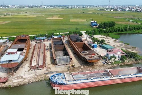 Bí thư Tỉnh ủy Ninh Bình khảo sát các xưởng đóng tàu nằm trong hành lang đê điều
