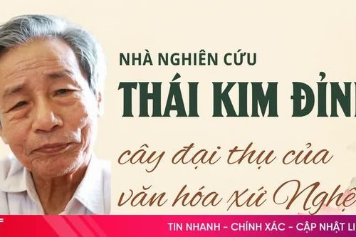 [Infographic] Nhà nghiên cứu Thái Kim Đỉnh - cây đại thụ của văn hóa xứ Nghệ