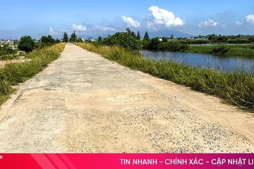 Nỗi lo tuyến đê tả Nghèn xuống cấp