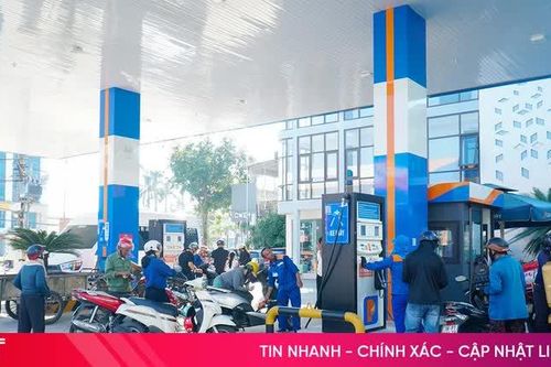 Chủ động nguồn hàng, giữ nhịp ổn định thị trường cuối năm