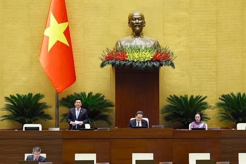 Sửa Luật Sở hữu trí tuệ: Bỏ điều kiện kinh doanh, cần giải pháp kiểm soát hiệu quả giám định