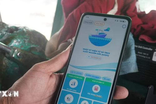 Hà Tĩnh tăng tỷ lệ truy xuất nguồn gốc thủy sản điện tử, khắc phục thẻ vàng IUU