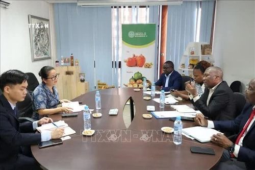 Thúc đẩy hợp tác nông nghiệp, thương mại Việt Nam - Mozambique