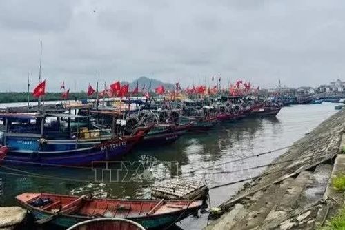 Tăng tỷ lệ truy xuất nguồn gốc thủy sản điện tử