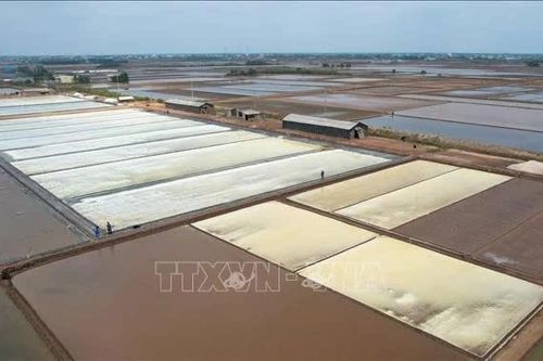 Nghề muối truyền thống chuyển mình theo hướng hiện đại