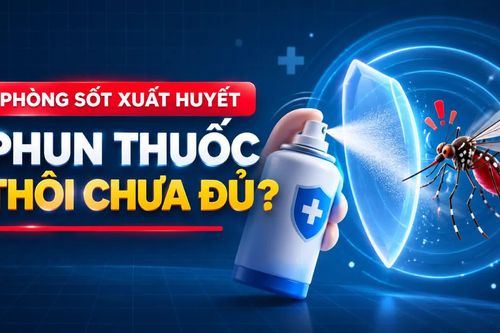 Phòng sốt xuất huyết: Phun thuốc thôi chưa đủ!
