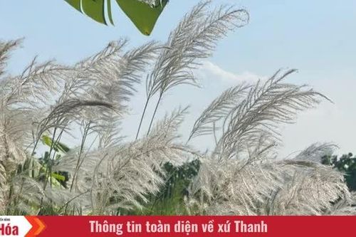 Trời trở heo may, miên man miền nhớ