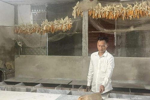 Nuôi dúi, hướng phát triển kinh tế mới ở Quảng Bình