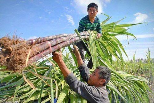 QNS lãi hơn 1.400 tỷ đồng sau 9 tháng, chi phí bán hàng tăng gần 50%