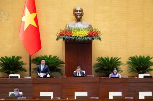 Dự án Luật An toàn thực phẩm (sửa đổi): Đánh giá đầy đủ điều kiện thực thi