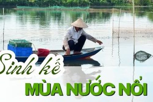 Sinh kế mùa nước nổi