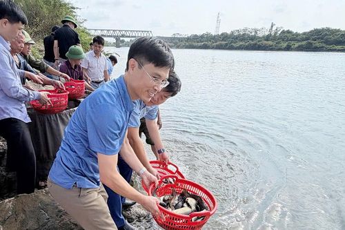 Bắc Ninh: Thả 60.000 con cá giống tái tạo nguồn lợi thuỷ sản
