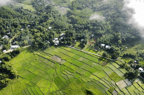 Phát triển Nam Giang là trung tâm sản xuất nông - lâm nghiệp và du lịch sinh thái