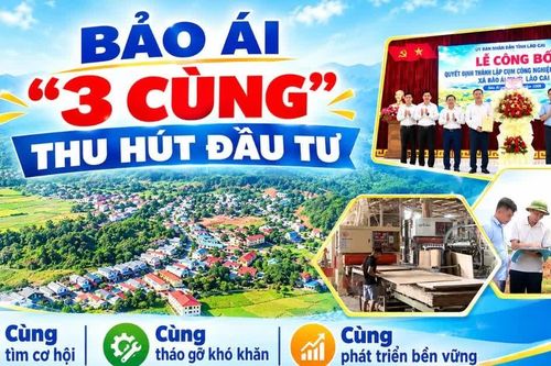 Bảo Ái “3 cùng” thu hút đầu tư