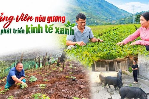 Đảng viên nêu gương trong phát triển kinh tế xanh