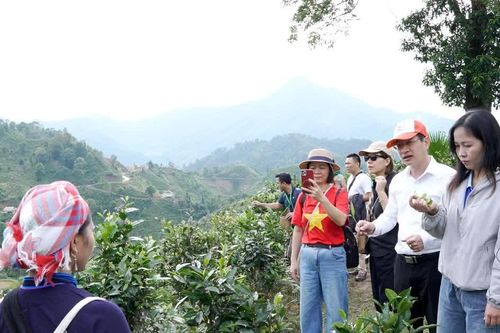 Từ sức hút truyền thông đến sinh kế bền vững ở Bản Liền