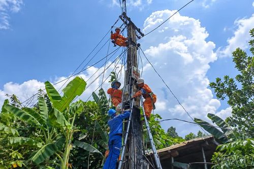 Nối “sóng” với non ngàn