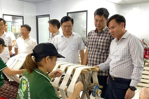 Hai xã của tỉnh Nghệ An trao đổi kinh nghiệm phát triển dâu tằm tại Quy Mông