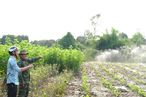 Bí thư chi bộ giỏi làm kinh tế, tích cực vì cộng đồng