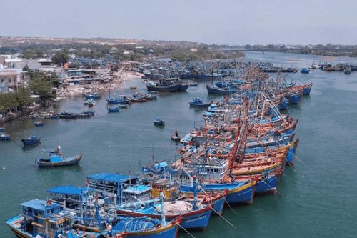 Người cán bộ trẻ làm theo lời Bác