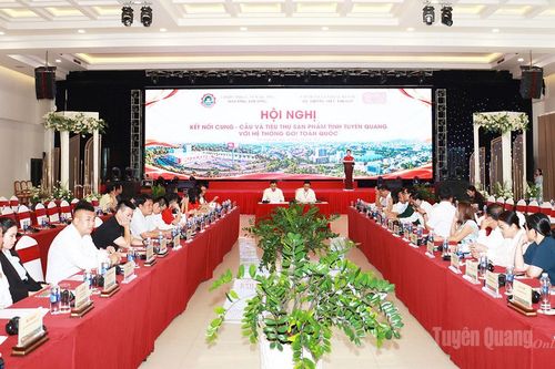 Kết nối cung – cầu và tiêu thụ sản phẩm tỉnh Tuyên Quang với hệ thống GO! toàn quốc