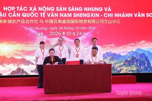 Mở rộng hợp tác thương mại Việt – Trung năm 2026