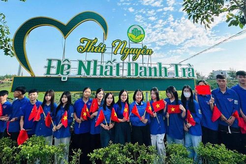 Những vùng trà mở cửa đón du khách