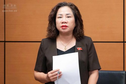 ĐBQH: Xem xét linh hoạt dự án chậm tiến độ do khách quan, bảo đảm quyền lợi nhà đầu tư