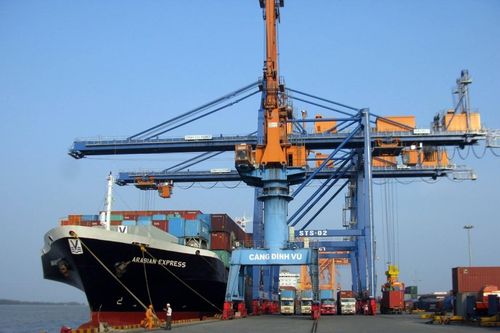 Cảng Đình Vũ có hơn 1.000 tỷ đồng tiền mặt, chiếm 71% tổng tài sản