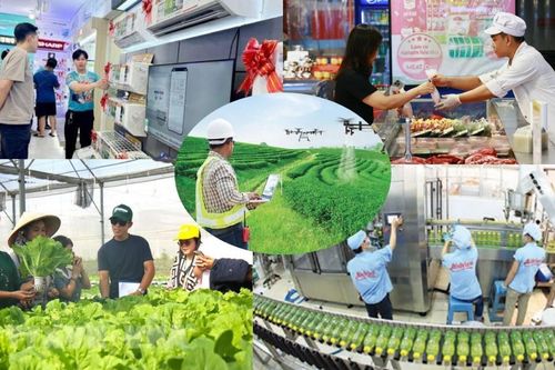Top doanh nghiệp uy tín 2026: Trụ cột tăng trưởng bền vững