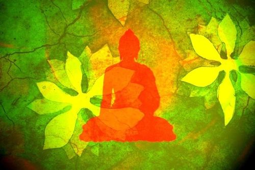 Người học Phật trước cơn sân