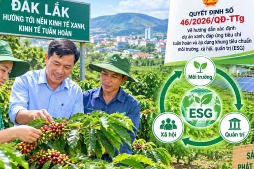 Đắk Lắk triển khai tiêu chí dự án xanh thúc đẩy kinh tế tuần hoàn quản trị ESG bền vững
