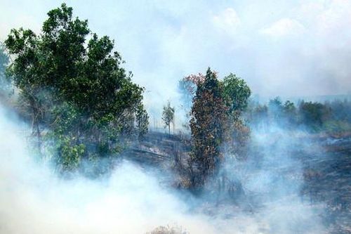 Khói mù do cháy rừng từ Indonesia: Phép thử năng lực phối hợp của ASEAN