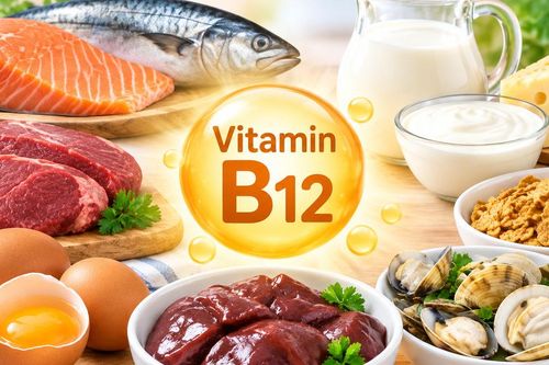 Vì sao nồng độ vitamin B12 vẫn thấp dù đã bổ sung?
